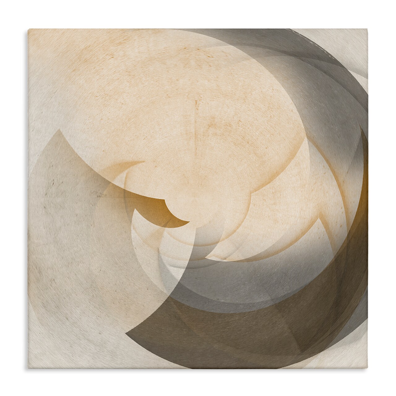 Stupell Industries Shadowed Form Curve Canvas Wall Art Design by Noah Bay
